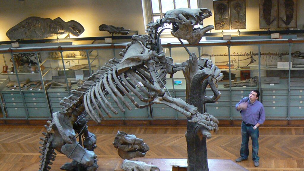 Le squelette de Megatherium au Muséum d'Histoire naturelle de Paris. // Source : Domaine public