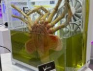 Le PC le plus flippant du Computex 2025.