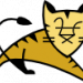 Apache Tomcat – Icon