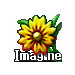 Imagine – Icon