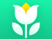 Plant Parent – Guide entretien – Icon
