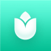 PlantIn plantes reconnaissance – Icon