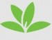 PlantNet – Pl@ntNet Identification Plante – Icon