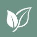 Pollen+ – Icon