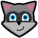 Raccoon APK Downloader – Icon