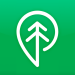 Treebal – Icon