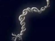 L'objet Cord End dans Elden Ring Nightreign // Source : Capture d'écran