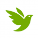 iNaturalist – Icon