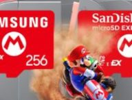microSD switch 2 // Source : Montage Numerama