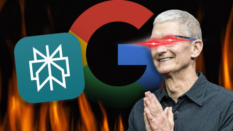 Minia-Apple Perplexity-Minia-5