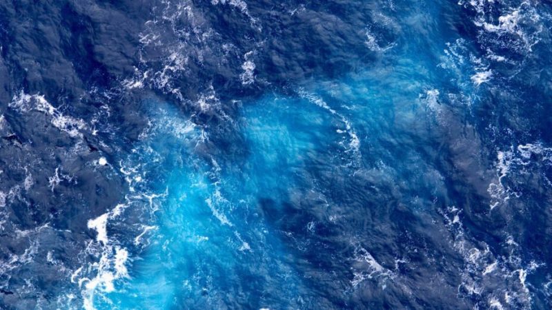 Pourquoi la fertilisation des océans pour sauver le climat fascine autant… et inquiète