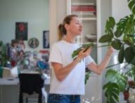 Les plantes peuvent aider à rafraichir un logement. // Source : Envato Les plantes peuvent aider à rafraichir un logement. // Source : Envato