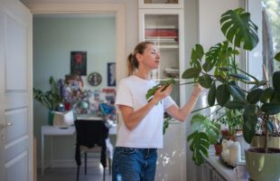 Les plantes peuvent aider à rafraichir un logement. // Source : Envato