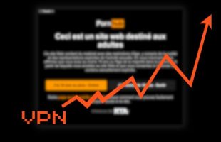 VPN Stonks // Source : Création Numerama