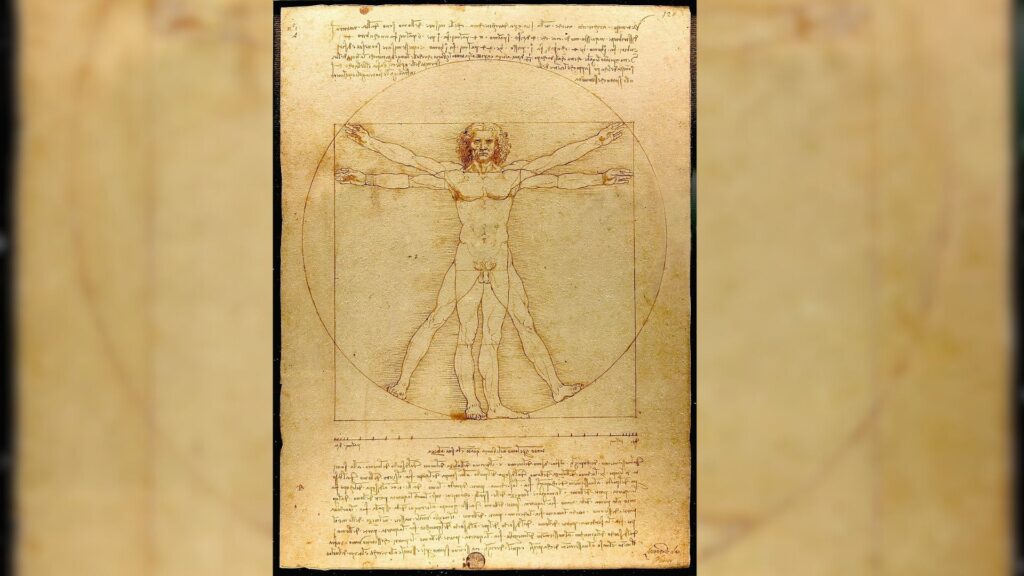 L'homme de Vitruve // Source : Wikimedia L'homme de Vitruve // Source : Wikimedia