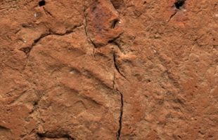 L'empreinte de la main, probablement du potier, faite sous la «maison de l'âme » // Source : The Fitzwilliam Museum/University of Cambridge