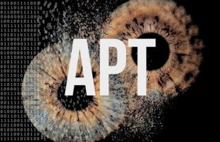 Définition APT // Source : Montage Numerama