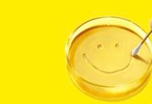 Pluribus // Source : Apple TV+ Pluribus // Source : Apple TV+