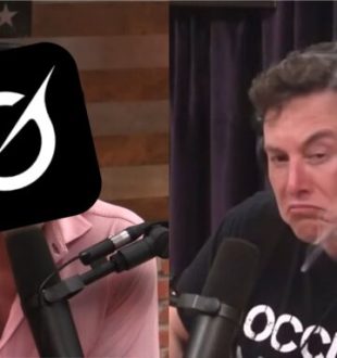 Grok consulte les tweets d'Elon Musk avant de vous répondre // Source : Montage Numerama