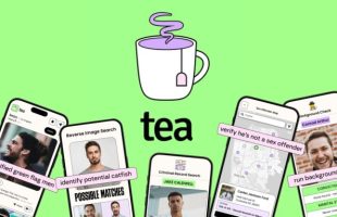 L'application Tea // Source : Montage Numerama