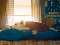 Krypto dans le film Superman // Source : Warner Bros.