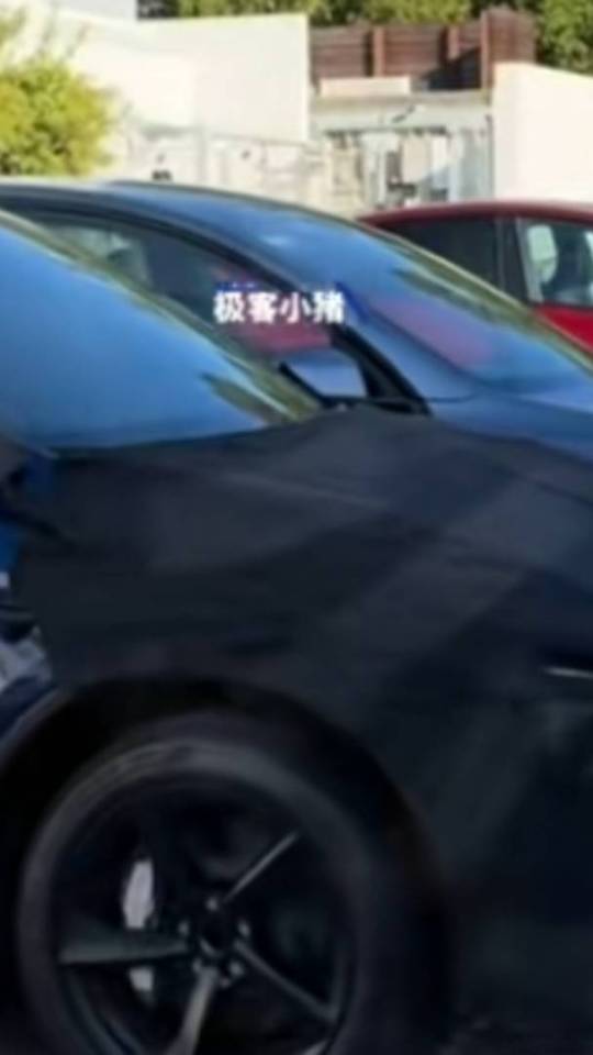 Futur Tesla Model Y low cost // Source : Geek piggy sur Weibo