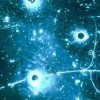 Cette image de traces dans la chambre à bulles Gargamelle fut la première confirmation de l’existence des interactions par courant neutre faibles. // Source : CERN