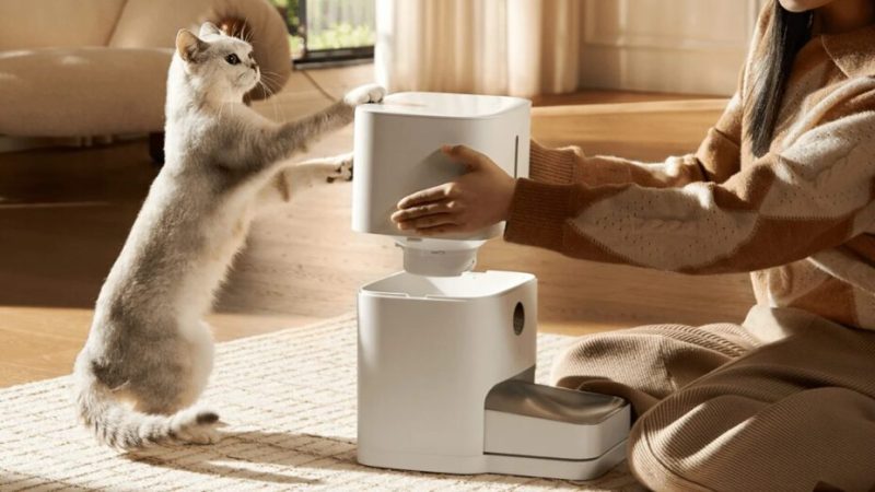 Ce distributeur de croquettes en promo nourrit vos animaux en votre absence