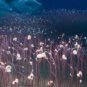 Plongée en zone hadale avec le sous-maarin Fendouzhe. Cette figure est créée pour représenter ces écosystèmes remarquables, formant une "rivière" de communautés chimiosynthétiques au fond de la tranchée hadal - peignant le fond de l'océan avec un kaléidoscope vivant de vitalité en haute mer // Source : Recoupée et agrandie_ Institut des sciences et de l'ingénierie des fonds de mer, CAS (IDSSE, CAS) Plongée en zone hadale avec le sous-maarin Fendouzhe. Cette figure est créée pour représenter ces écosystèmes remarquables, formant une "rivière" de communautés chimiosynthétiques au fond de la tranchée hadal - peignant le fond de l'océan avec un kaléidoscope vivant de vitalité en haute mer // Source : Recoupée et agrandie_ Institut des sciences et de l'ingénierie des fonds de mer, CAS (IDSSE, CAS)