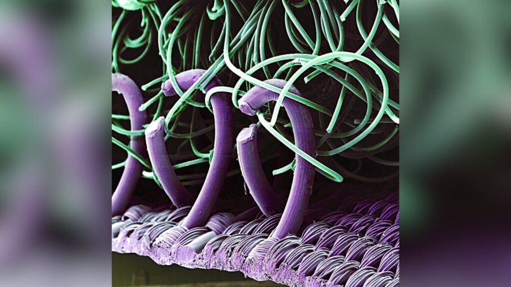 Représentation schématique microscopique du principe de velour-crochet // Source : Capture d'écran Numerama Représentation schématique microscopique du principe de velour-crochet // Source : Capture d'écran Numerama