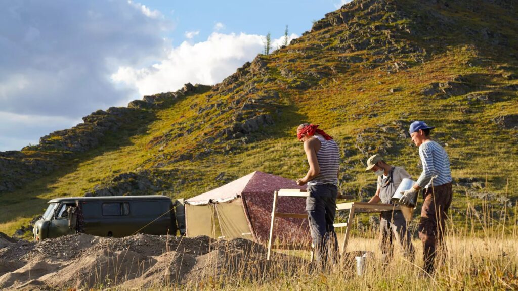 Des fouilles dans la steppe eurasienne ont révélé des milliers d'ossements d'animaux provenant de bétail de l'âge du bronze. // Source : Taylor Hermes Des fouilles dans la steppe eurasienne ont révélé des milliers d'ossements d'animaux provenant de bétail de l'âge du bronze. // Source : Taylor Hermes