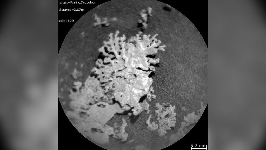 La roche en forme de corail prise en image par la ChemCam // Source : NASA/JPL-Caltech/LANL/CNES/CNRS/IRAP/IAS/LPG La roche en forme de corail prise en image par la ChemCam // Source : NASA/JPL-Caltech/LANL/CNES/CNRS/IRAP/IAS/LPG