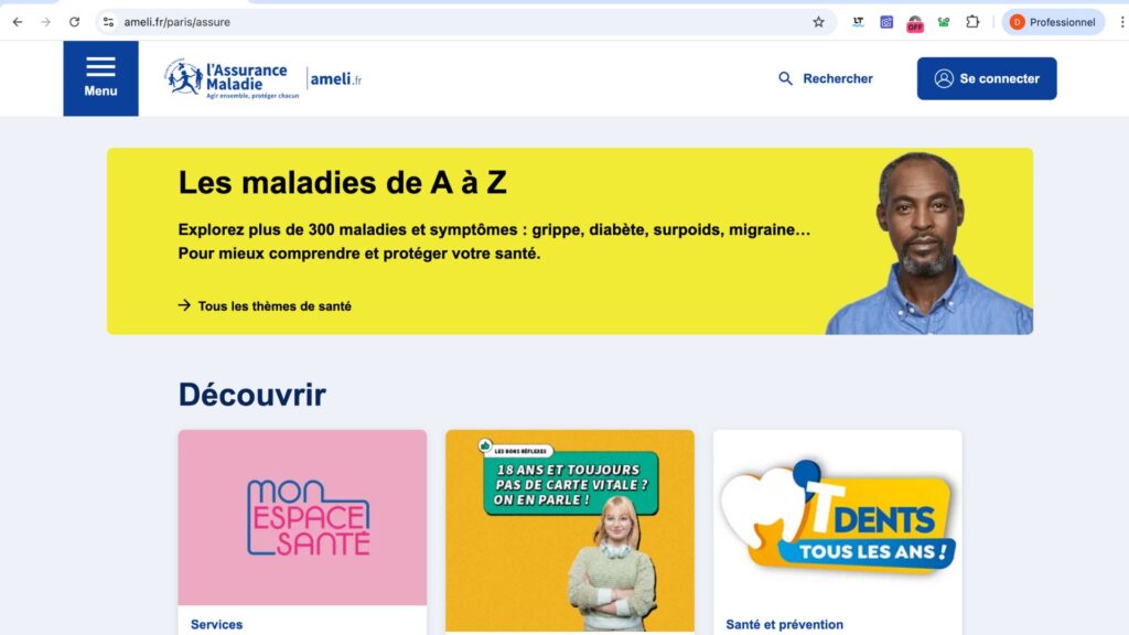 Interface du site de l'Amelie // Source : Capture écran-Diane Hassoun