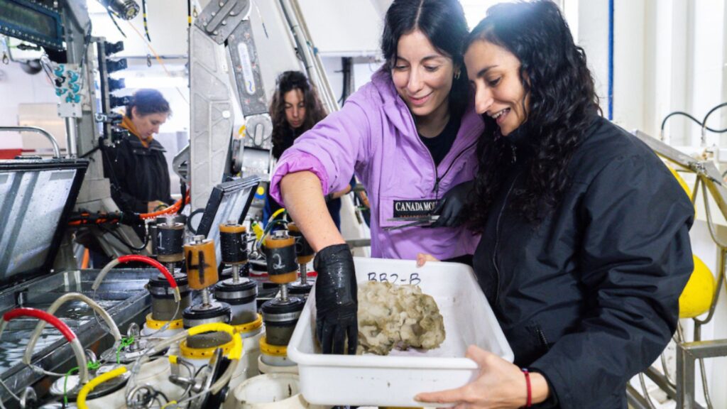 Les biologistes du CONICET Renata Pertossi et Noelia Sánchez récupèrent des échantillons après la plongée du ROV SuBastian dans le canyon de Mar del Plata. // Source : ROV SuBastian / Schmidt Ocean Institute. Les biologistes du CONICET Renata Pertossi et Noelia Sánchez récupèrent des échantillons après la plongée du ROV SuBastian dans le canyon de Mar del Plata. // Source : ROV SuBastian / Schmidt Ocean Institute.