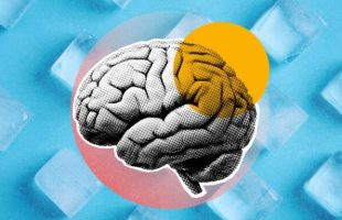 Source : Montage Numerama Source : Montage Numerama