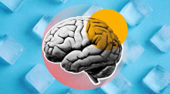 Source : Montage Numerama Source : Montage Numerama