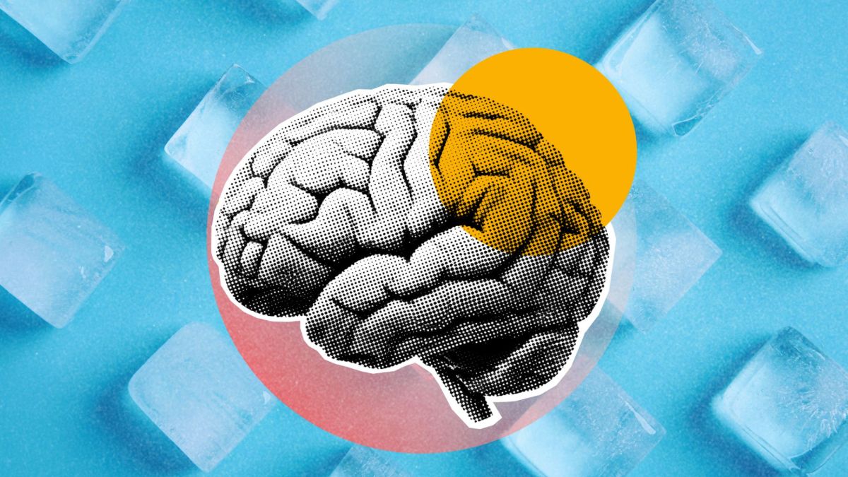 cerveau froid