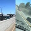 Ce crash d'une Mustang Mach-E fait le buzz // Source : marty.byrde3 - Tiktok 