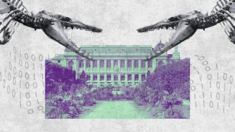 « C’est une attaque vraiment massive », pourquoi le Muséum national d’histoire naturelle de Paris est-il la cible de cybercriminels ?