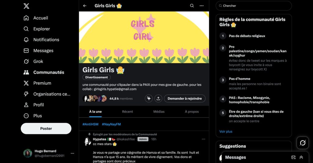 La communauté des Girls Girls sur X // Source : Capture Numerama La communauté des Girls Girls sur X // Source : Capture Numerama