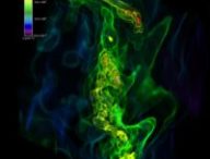 Vue en 3D du nuage primordial. // Source : ASIAA/Meng-Yuan Ho & Pei-Cheng Tung