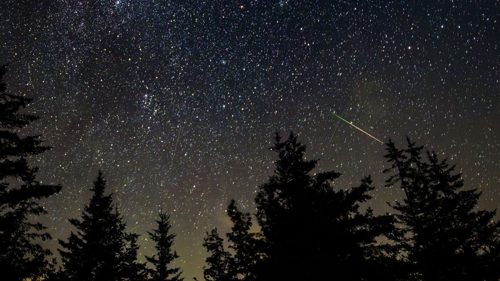 Les PersÃ©ides sont de retour en 2025, voici les photos les plus incroyables de ces Ã©toiles...