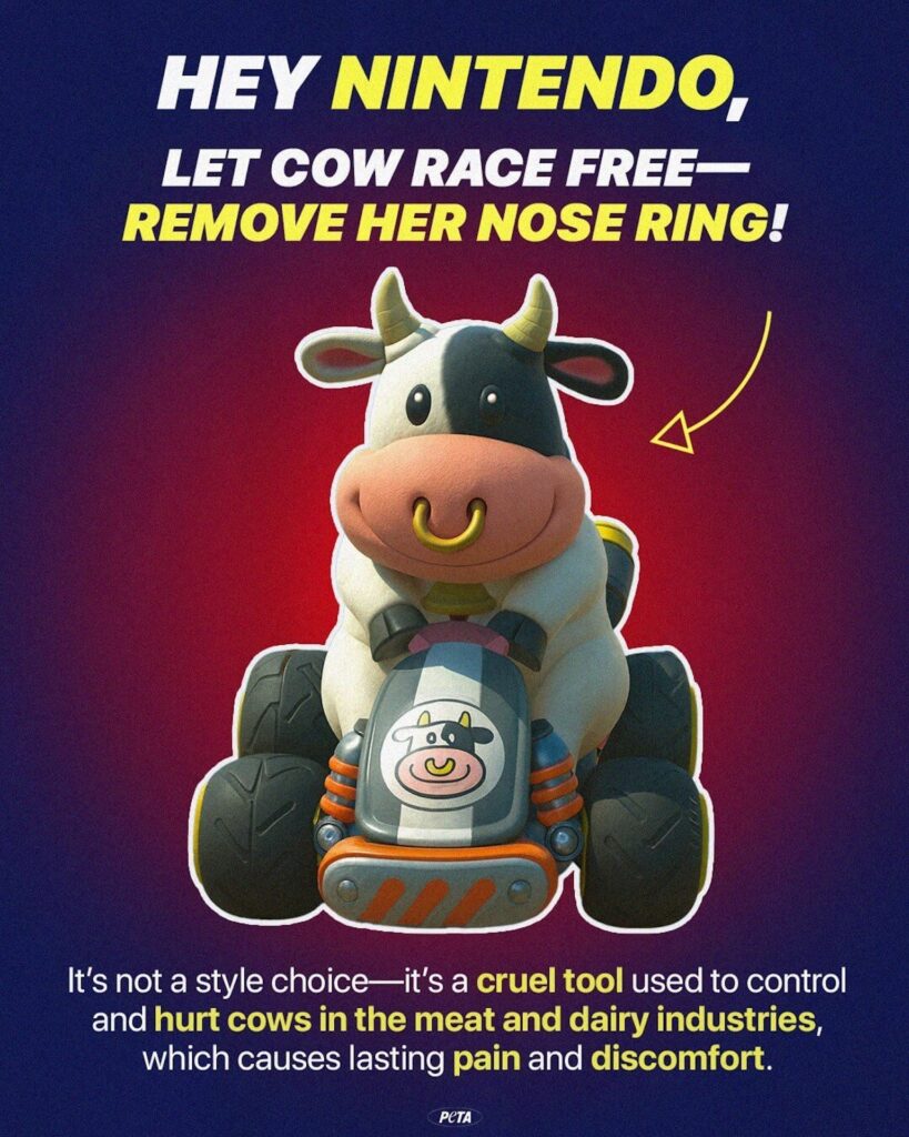 La PETA veut faire retirer l'anneau de la vache de Mario Kart World // Source : PETA La PETA veut faire retirer l'anneau de la vache de Mario Kart World // Source : PETA