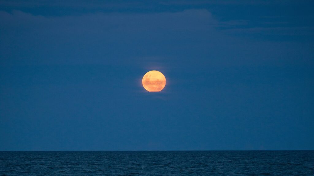 Pleine Lune surplombant l'océan. // Source : Envato Pleine Lune surplombant l'océan. // Source : Envato