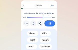 Google Translate. // Source : Google