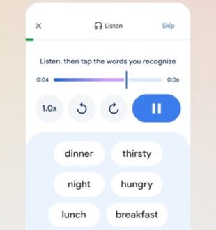 Google Translate. // Source : Google