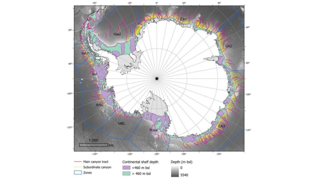 Aperçu des résultats de la cartographie du drainage pour cette étude // Source : The geomorphometry of Antarctic submarine canyons, Riccardo Arosio et David Amblàs