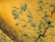 fromage bleu // Source : DPD photos-Pixabay