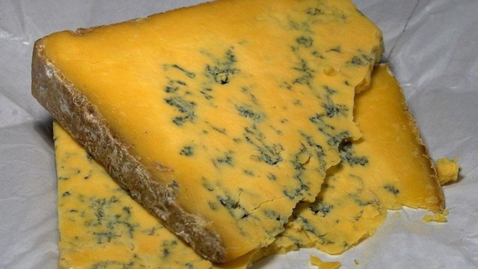 Les moisissures de ce fromage dÃ©voilent les mystÃ¨res de lâ€™Ã©volution en direct