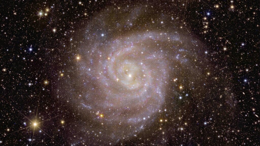 La vue d'Euclide sur la galaxie en spirale IC 342 // Source : ESA/Euclid/Euclid Consortium/NASA, image processing by J.-C. Cuillandre (CEA Paris-Saclay), G. Anselmi